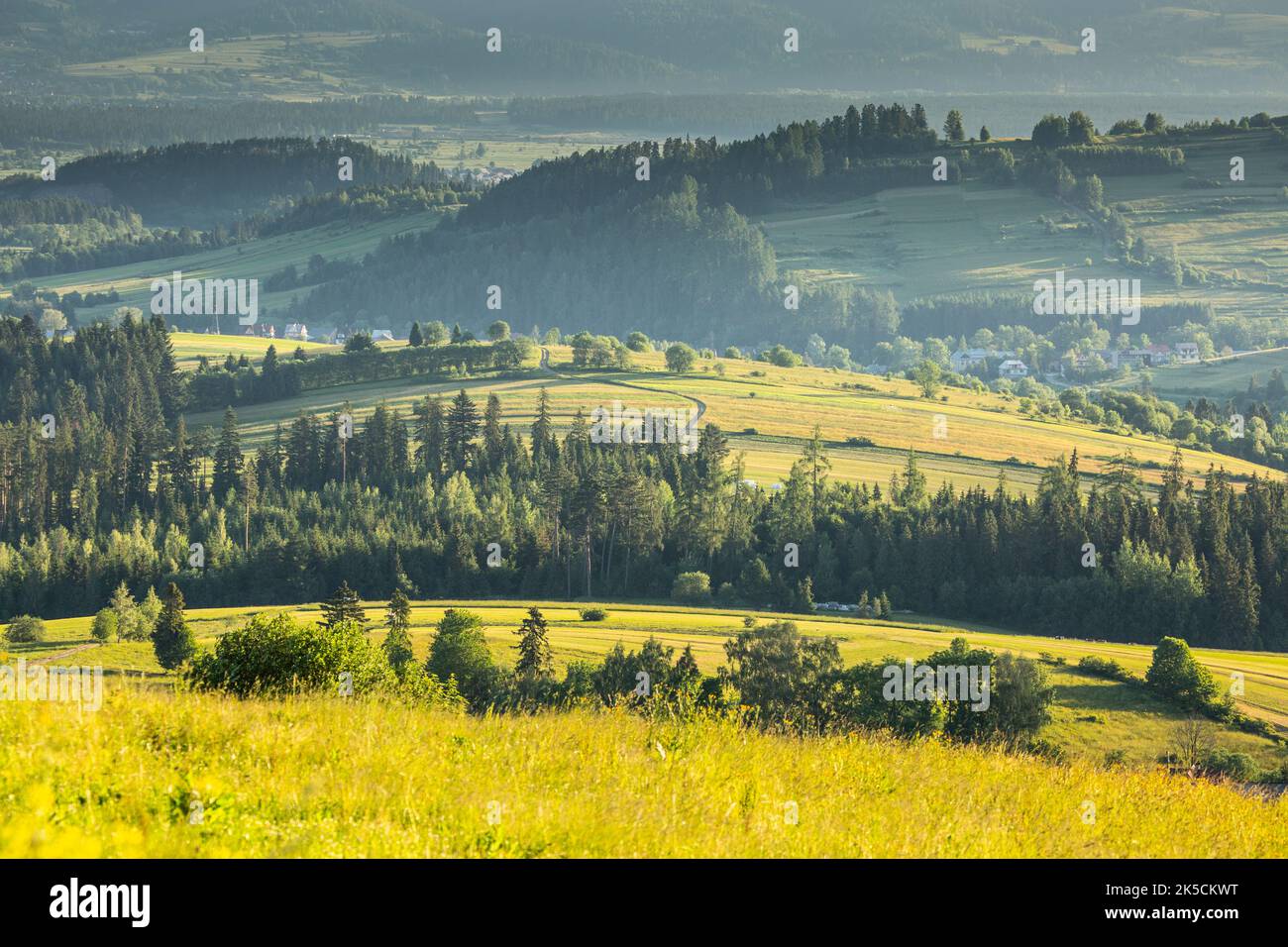 Europa, Polen, Kleinpolen, Tatra, Podhale, Blick von Czarna Gora Stockfoto