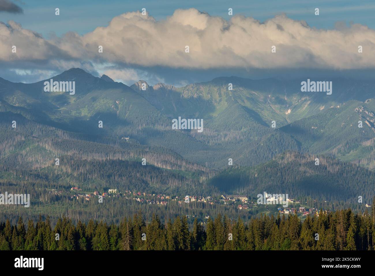 Europa, Polen, Kleinpolen, Tatra, Podhale, Blick von Gliczarow Gorny Stockfoto