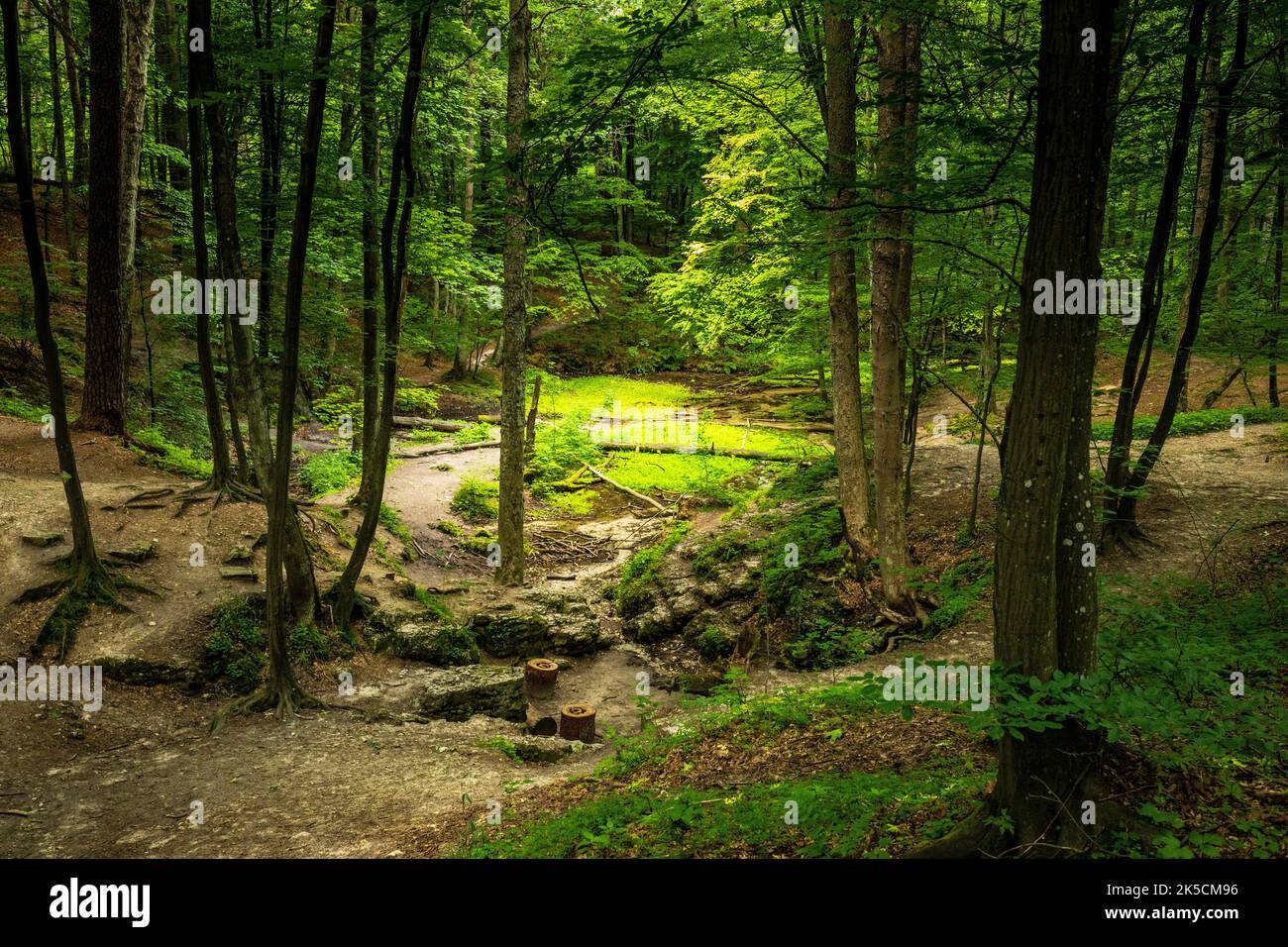 Europa, Polen, Schlesien, Krakau-Czestochowa-Hochland, polnisches Jura-Hochland - Rezerwat przyrody Parkowe, Parkowe Naturschutzgebiet Stockfoto