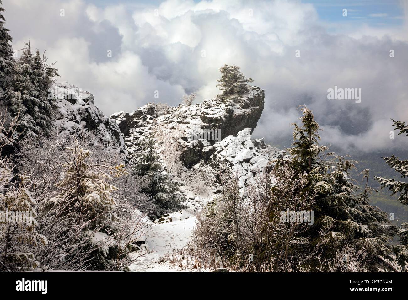WA22170-00...WASHINGTON - Breaking Clouds during a Snow Storm near the Summit of Mount Si near North Bend. Stockfoto