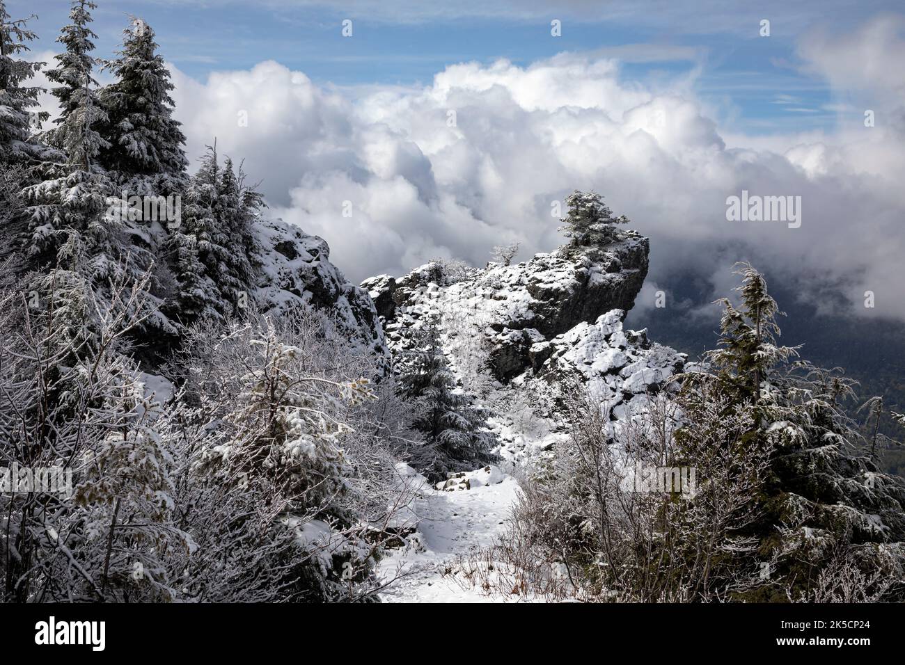 WA22171-00...WASHINGTON - Breaking Clouds during a Snow Storm near the Summit of Mount Si near North Bend. Stockfoto