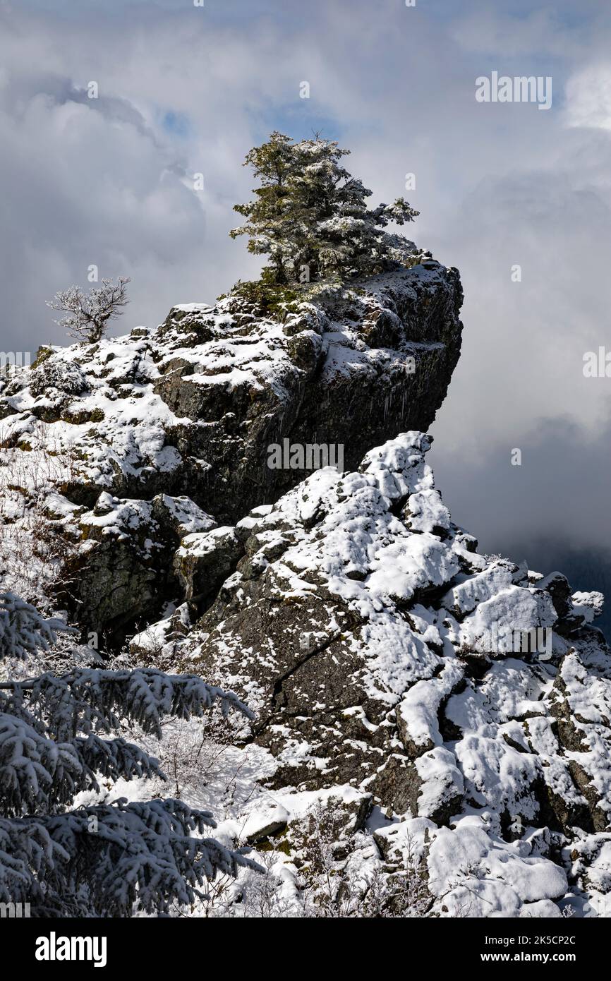 WA22171-00...WASHINGTON - Breaking Clouds during a Snow Storm near the Summit of Mount Si near North Bend. Stockfoto