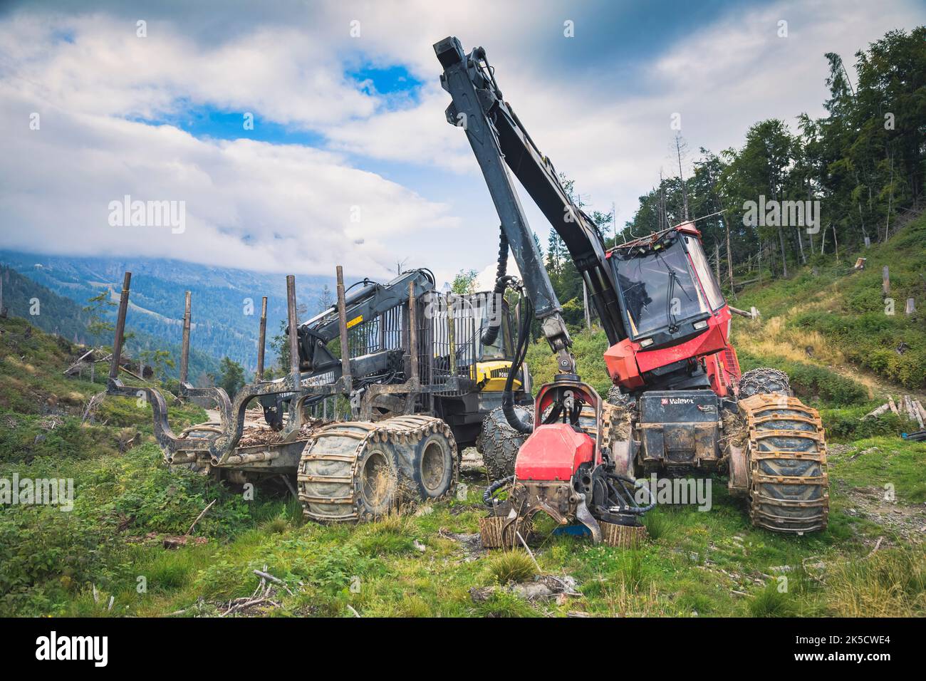 Italien, Venetien, Provinz Belluno, Dolomiten. Harvester und Forwarder Forstfahrzeug in einem Wald von dem Sturm Vaia getroffen Stockfoto