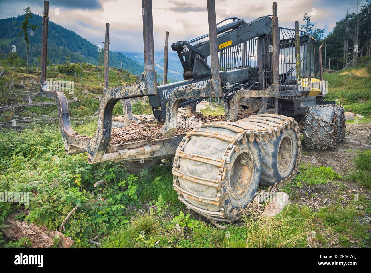Italien, Venetien, Provinz Belluno, Dolomiten. Harvester und Forwarder Forstfahrzeug in einem Wald von dem Sturm Vaia getroffen Stockfoto