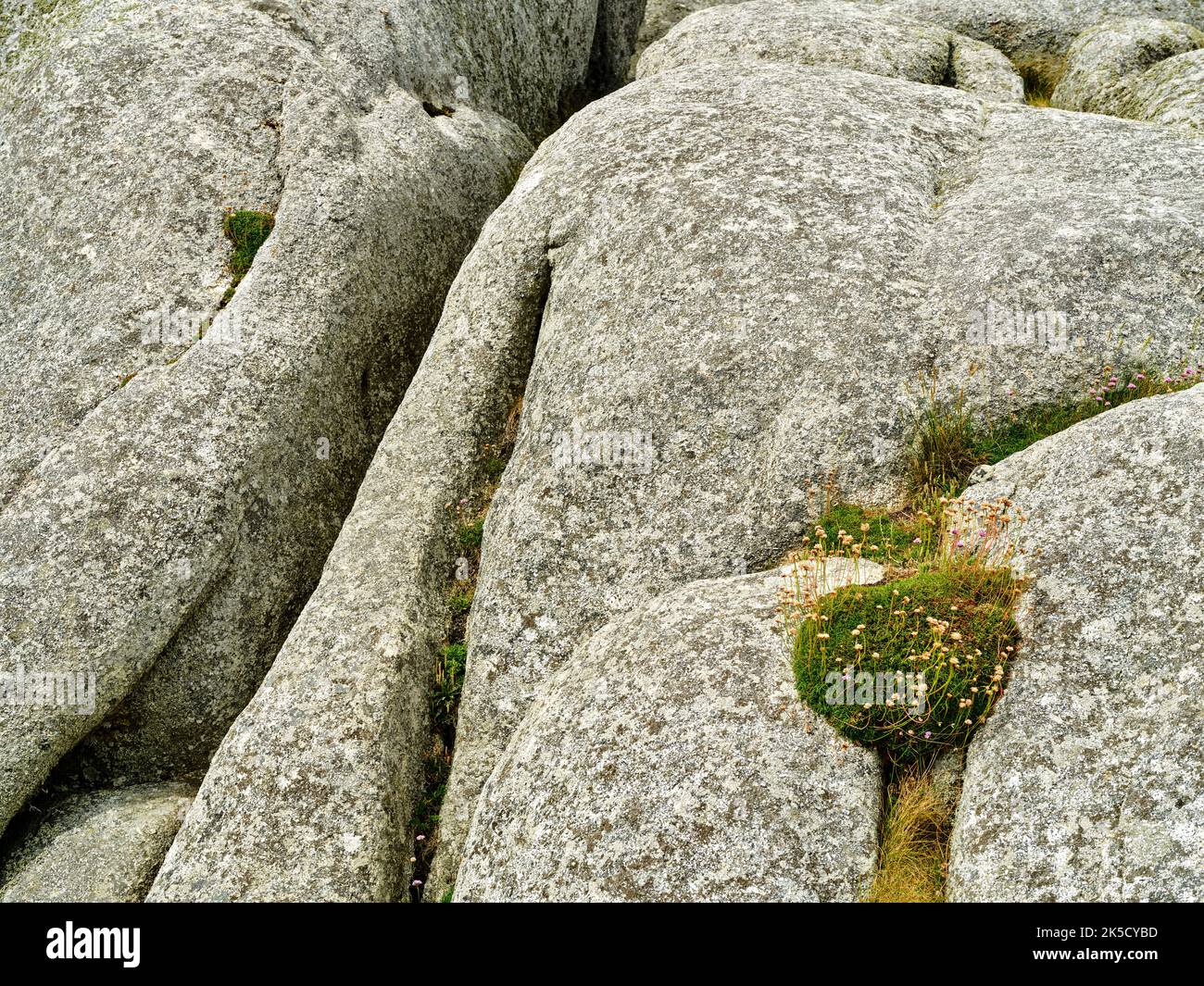 Atlantikküste bei Kerlouan, Bretagne, Frankreich Stockfoto