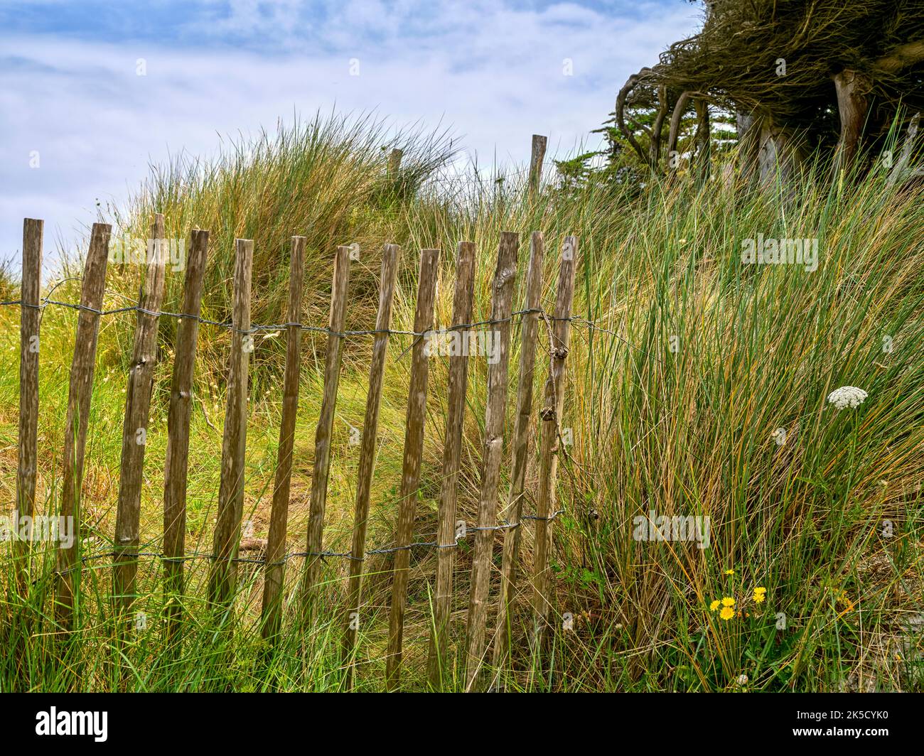 Atlantikküste in der Nähe von Plougoulm, Bretagne, Frankreich Stockfoto