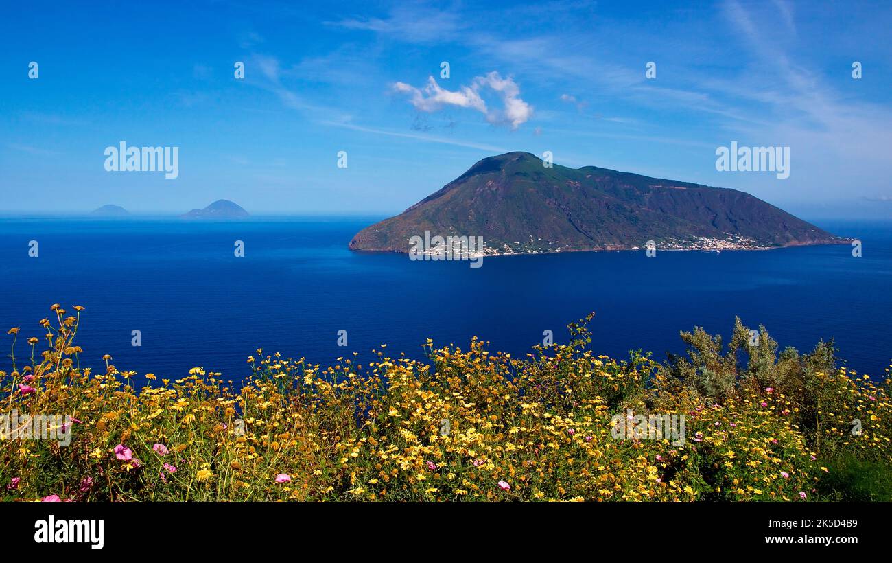 Italien, Sizilien, Äolische Inseln, Insel Salina, grüne Blumenwiese im Vordergrund, tiefblaues Meer, blauer Himmel mit verstreuten weißen Wolken Stockfoto