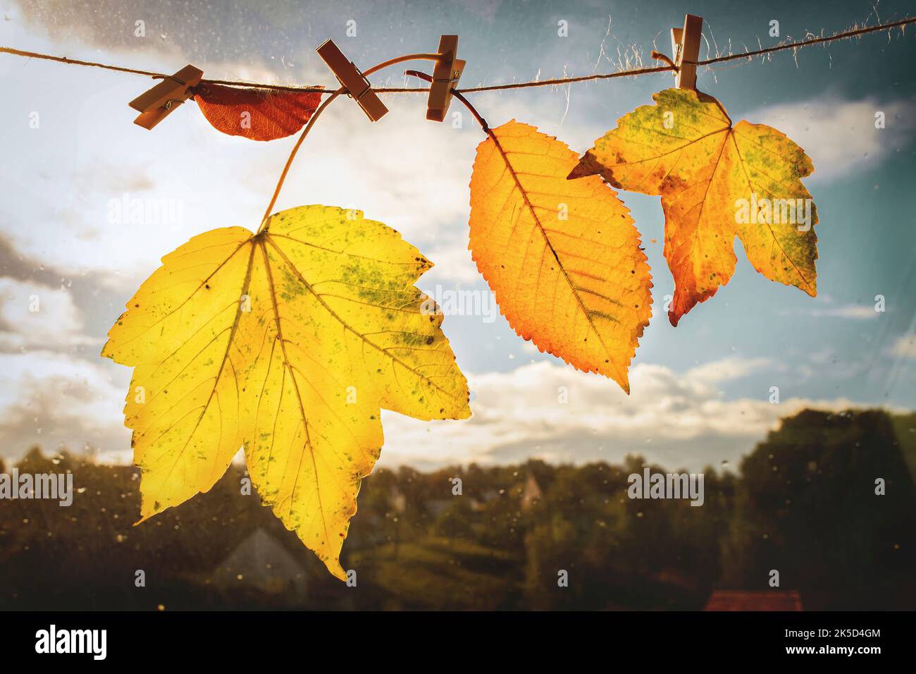 Bunte Blätter auf einer Wäscheleine Stockfoto