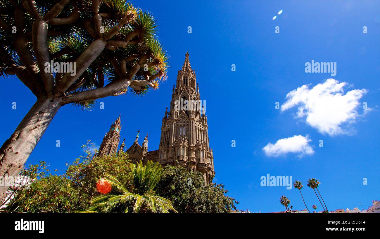 Spanien, Kanarische Inseln, Gran Canaria, Arucas, Stadt im Nordosten von Gran Canaria, Kathedrale von Arucas, Weitwinkelaufnahme, linke Palme, in der Mitte die Kathedrale, rechts zwei weiße Wolken, dunkelblauer Himmel Stockfoto