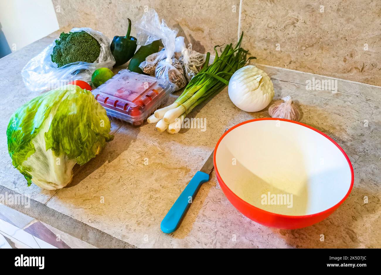 Vorbereitung von gesunden Salatfutter mit Gemüse Gurken Tomaten Knoblauch Brokkoli Karotten Zwiebel in Playa del Carmen Quintana Roo Mexiko. Stockfoto