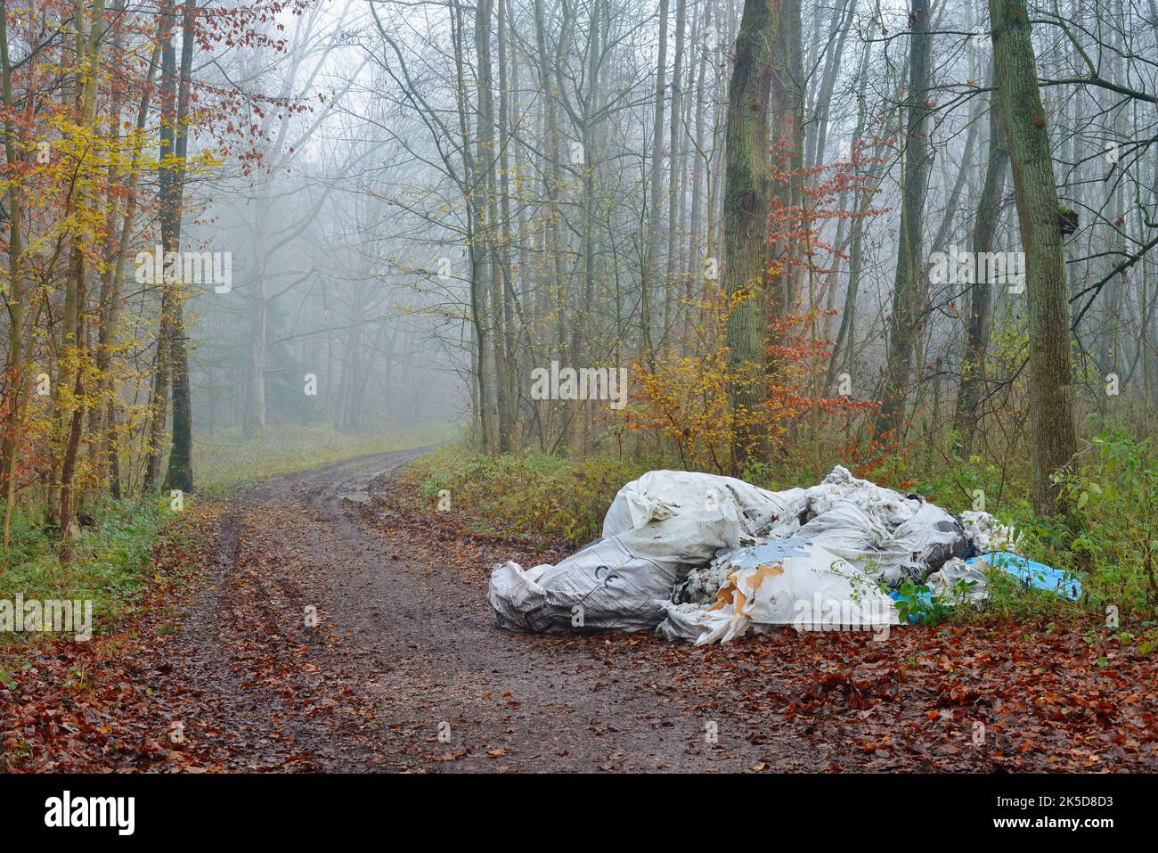 Umweltverschmutzung, illegale Abfallentsorgung auf einem Waldweg, Nordrhein-Westfalen, Deutschland Stockfoto