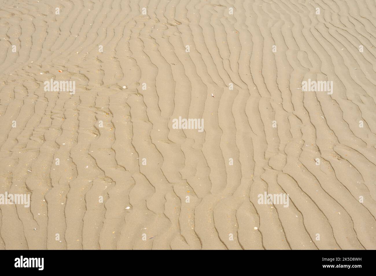 Rippen am Strand, Nordsee, Westflandern, Flandern, Belgien Stockfoto