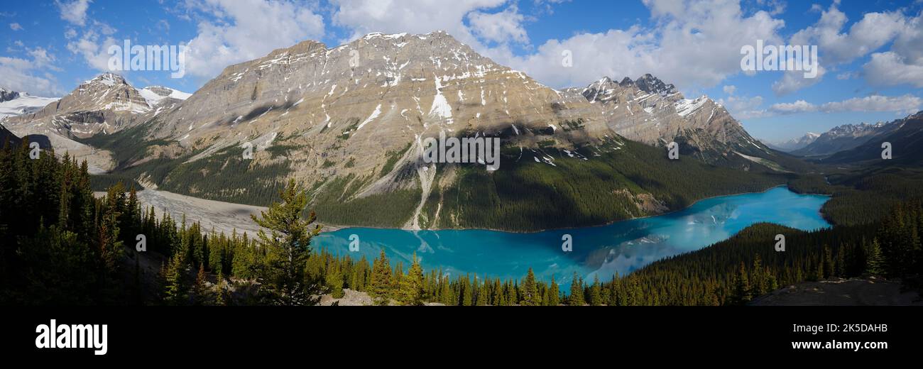 Glacial Peyto Lake, Icefields Parkway, Banff National Park, Alberta, Kanada Stockfoto