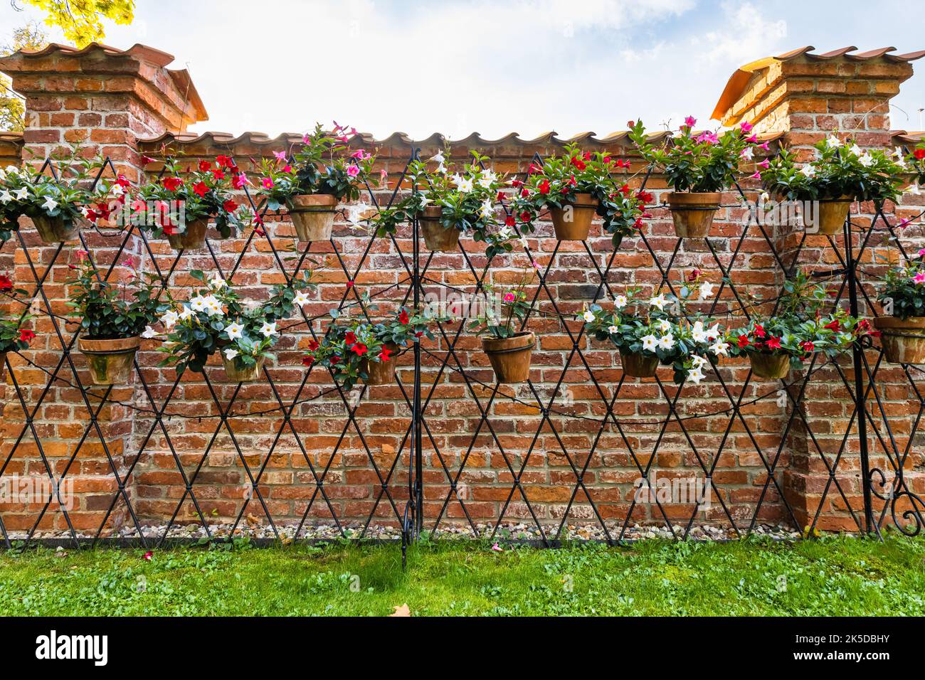 Hängender Blumengarten auf dem Backsteinwand Hintergrund Stockfoto