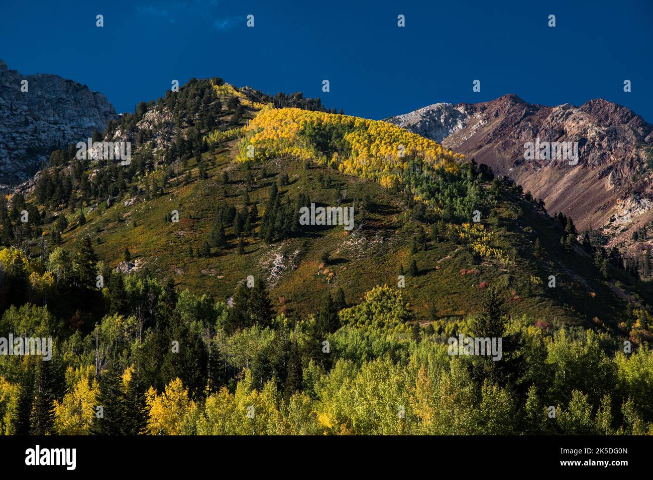 Granitberge und Herbstlaub. Wasatch Mountain Range, American Fork, Utah, USA. Stockfoto