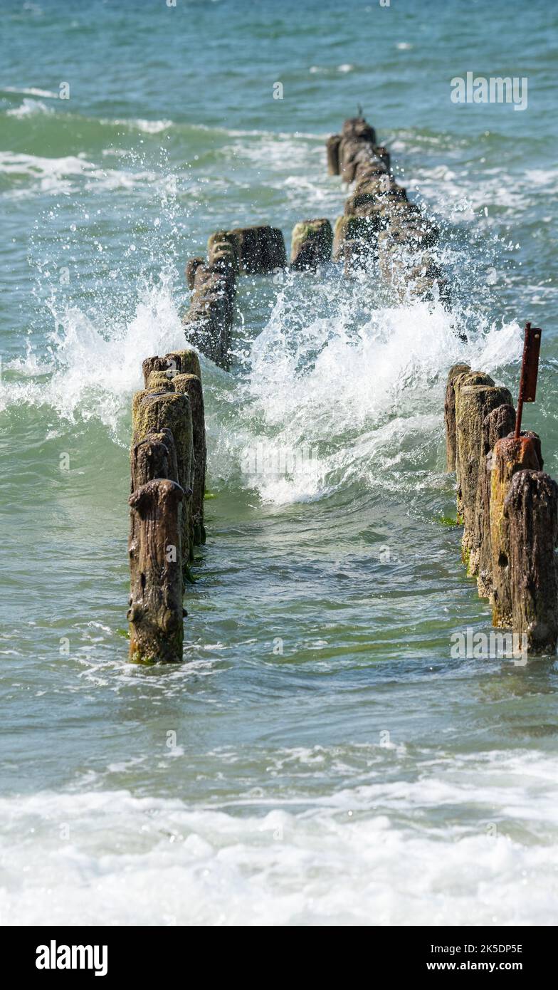 Hölzerner Wellenbrecher und raues Meer. Wellen auf See stürzen gegen die hölzernen Säulen des Wellenbrechers. Stockfoto