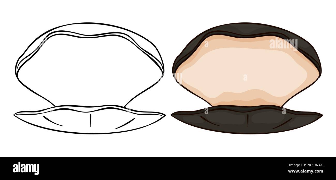 Geöffnete Austern im Cartoon-Stil und Konturen, eine in Farbversion und die andere farbig. Stock Vektor