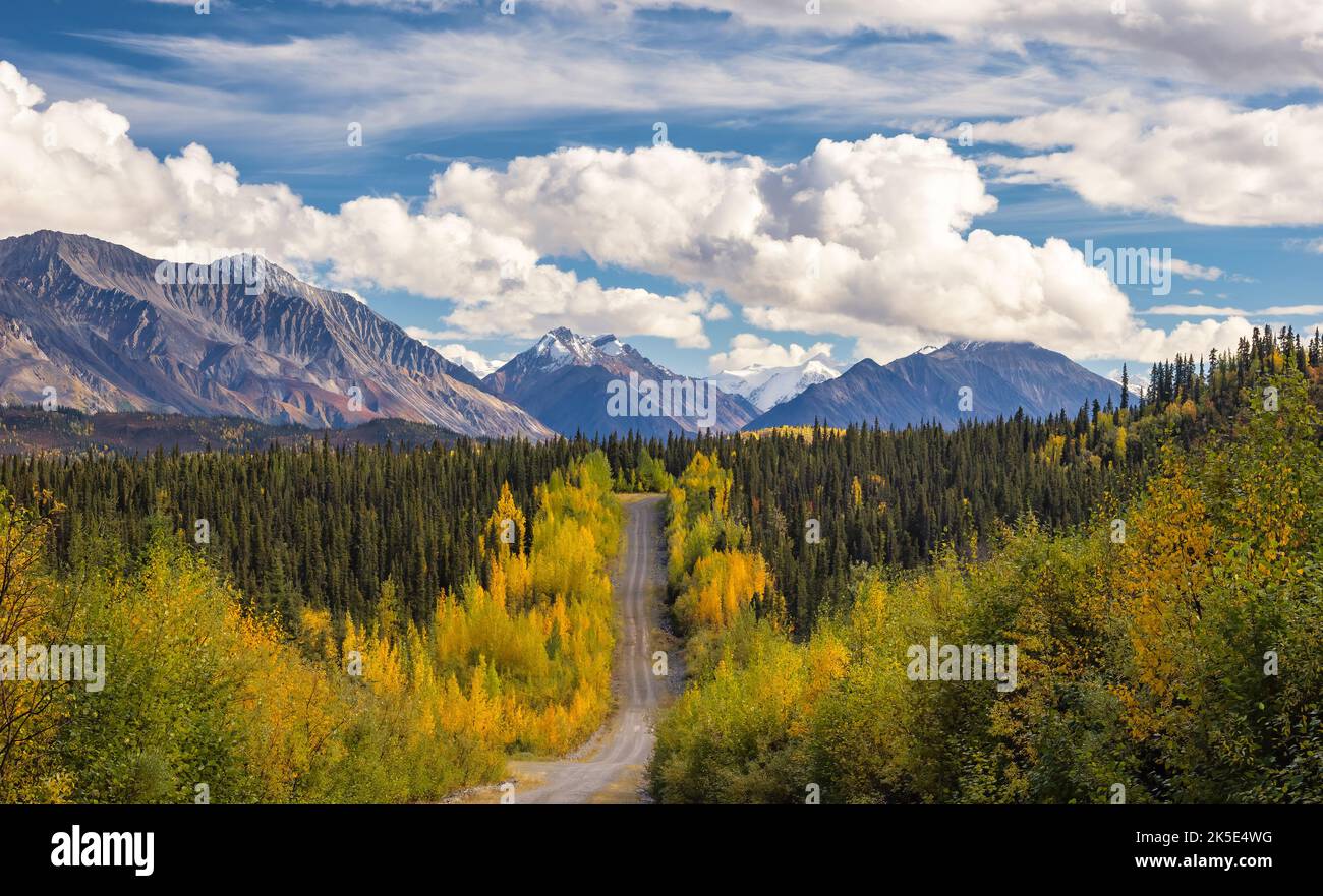 Die Nabesna Road und das Nutzotin-Gebirge in der Wrangell-St. Elias National Park in Alaska. Stockfoto