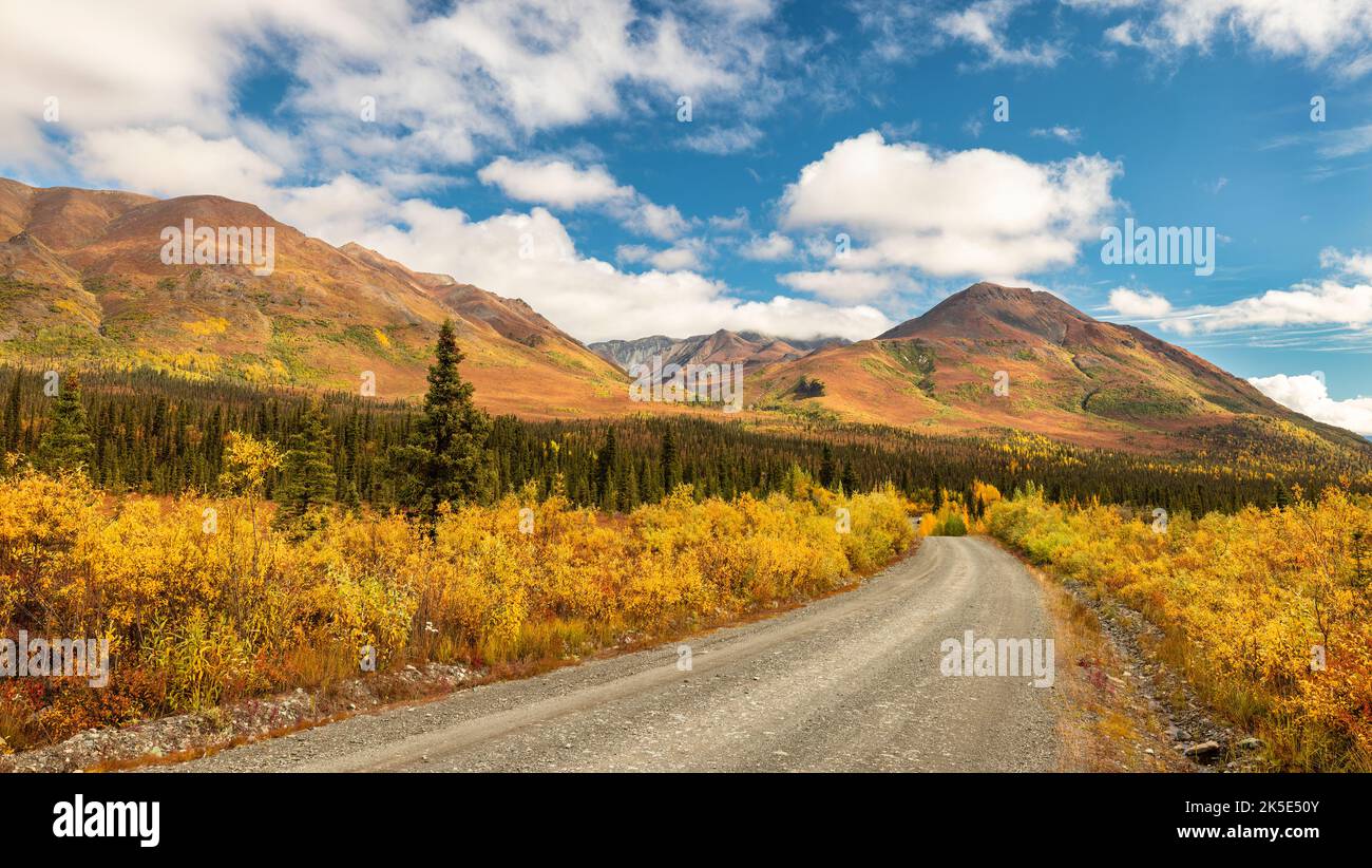 Die Farben des Herbstes schmücken die Taiga und Mentasta Mountains entlang der Nabesna Road in der Wrangell-St. Elias National Park im Landesinneren von Alaska. Stockfoto