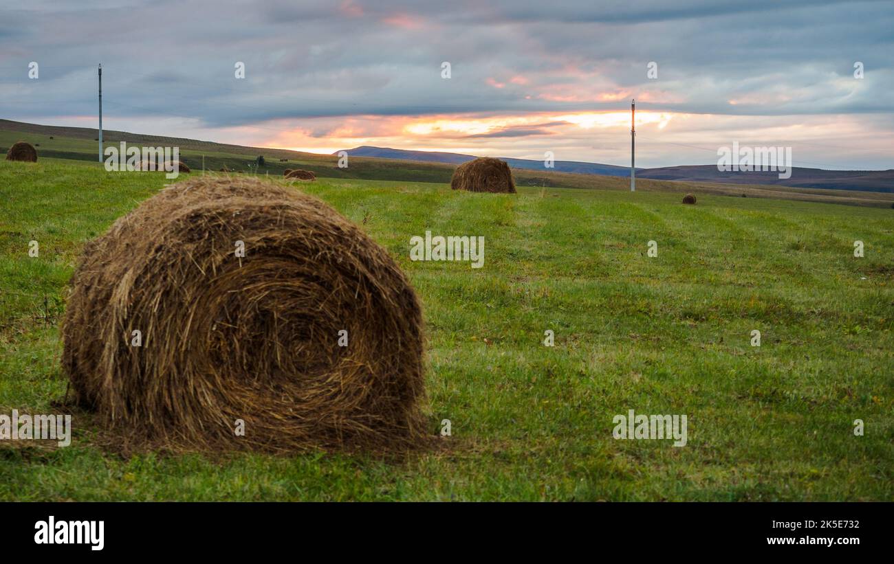 Gemähtes Feld mit Heuballen vor dem bunten Sonnenuntergang Himmel Stockfoto