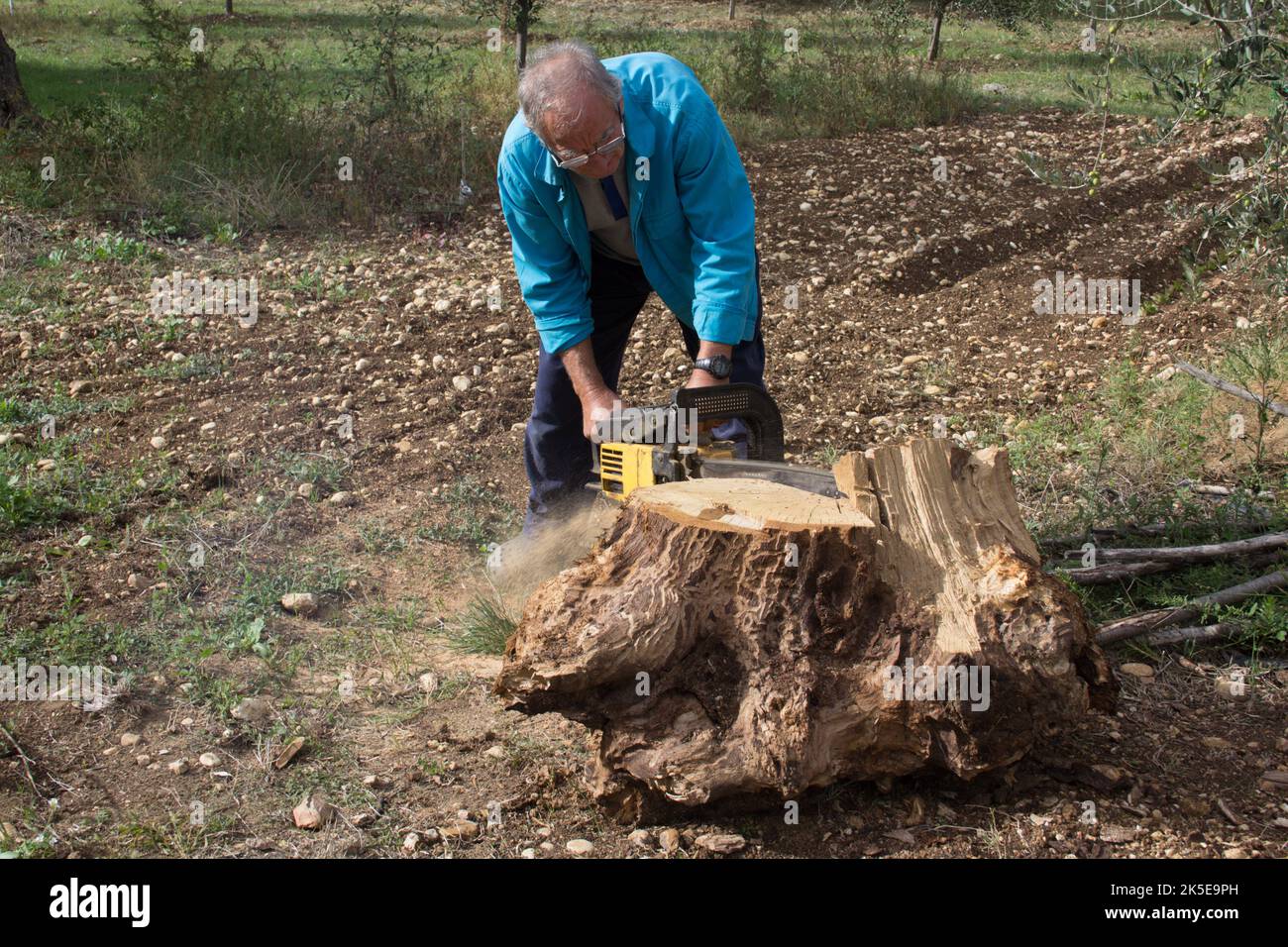 Älterer Mann, der mit einer Kettensäge ein Holzlog zerkleinert, um sich in Erwartung des Winters mit Holz aufzustopfen. Gehen Sie mit dem Kamin wieder auf die Heizung zurück Stockfoto