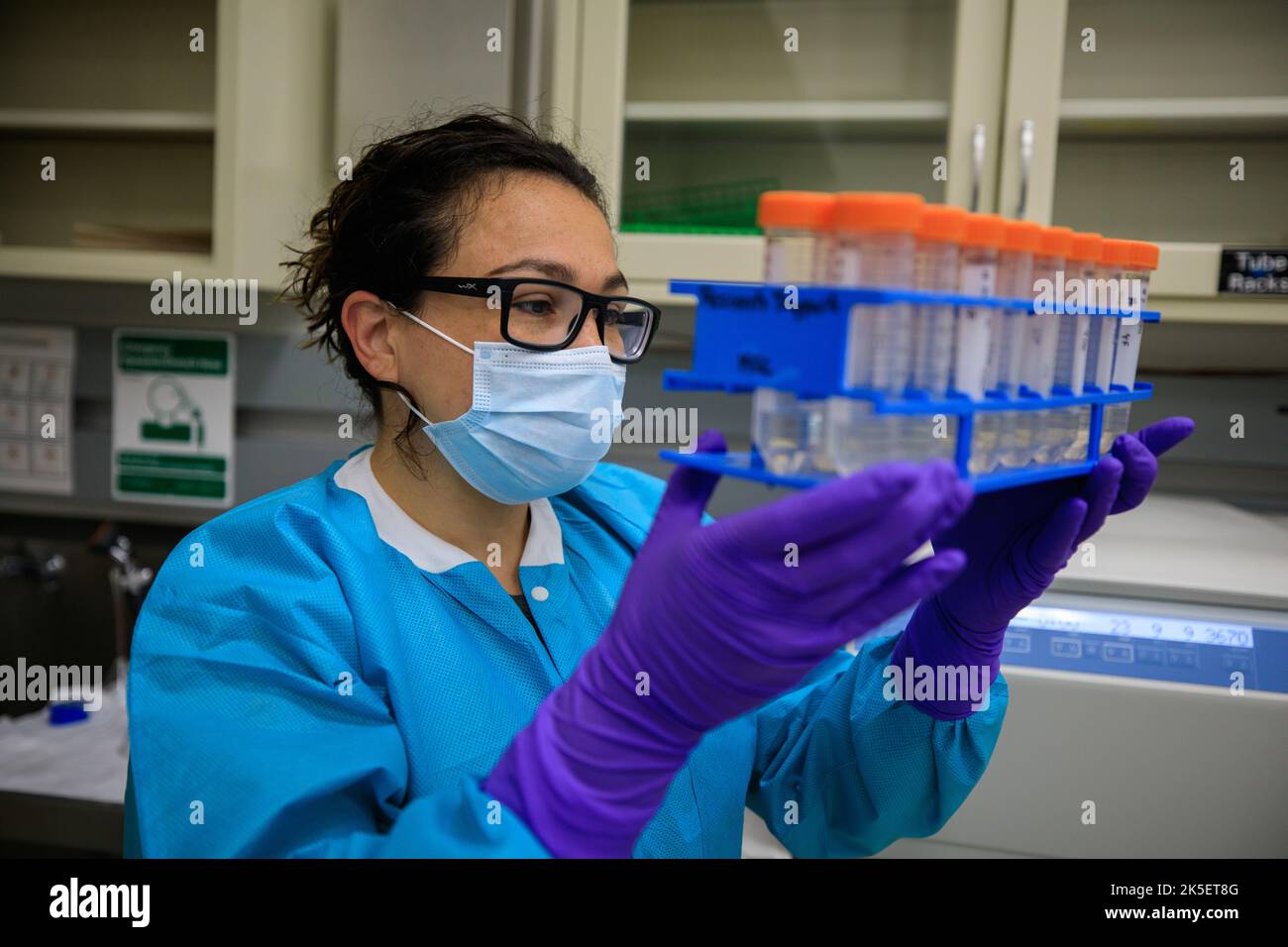 Marci Garcia, wissenschaftlicher Mitarbeiter am Kennedy Space Center der NASA in Florida, untersucht am 11. Juli 2022 einige der Science Tubes, aus denen das Experiment „Dynamik von Mikrobiomen im Weltraum“ (Dynamos) in einem Labor der Raumstation Processing Facility besteht. Das Dynamos-Experiment wird auf der 25. von SpaceX für die Nachversorgung von Gütern aufgeweichten Mission starten, um zu untersuchen, wie Schwerelosigkeit metabolische Interaktionen in Gemeinschaften von Bodenmikroben beeinflusst. Dies wird der NASA helfen, die Funktion von Bodenmikroorganismen im Weltraum und auf der Erde zu verstehen und wie sie verwendet werden können, um das Pflanzenwachstum für den Verzehr von Crew-Mitarbeitern zu verbessern Stockfoto