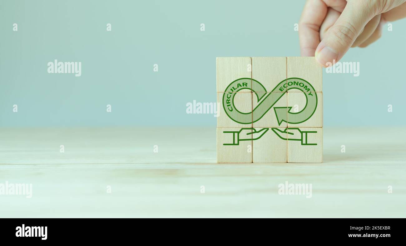 Kreislaufwirtschaft, Recycling, Umwelt, Wiederverwendung, Herstellung, Abfall, Verbraucher, Ressourcen. Ökobilanz des Lebenszyklus. Nachhaltigkeit Holzjunge Stockfoto