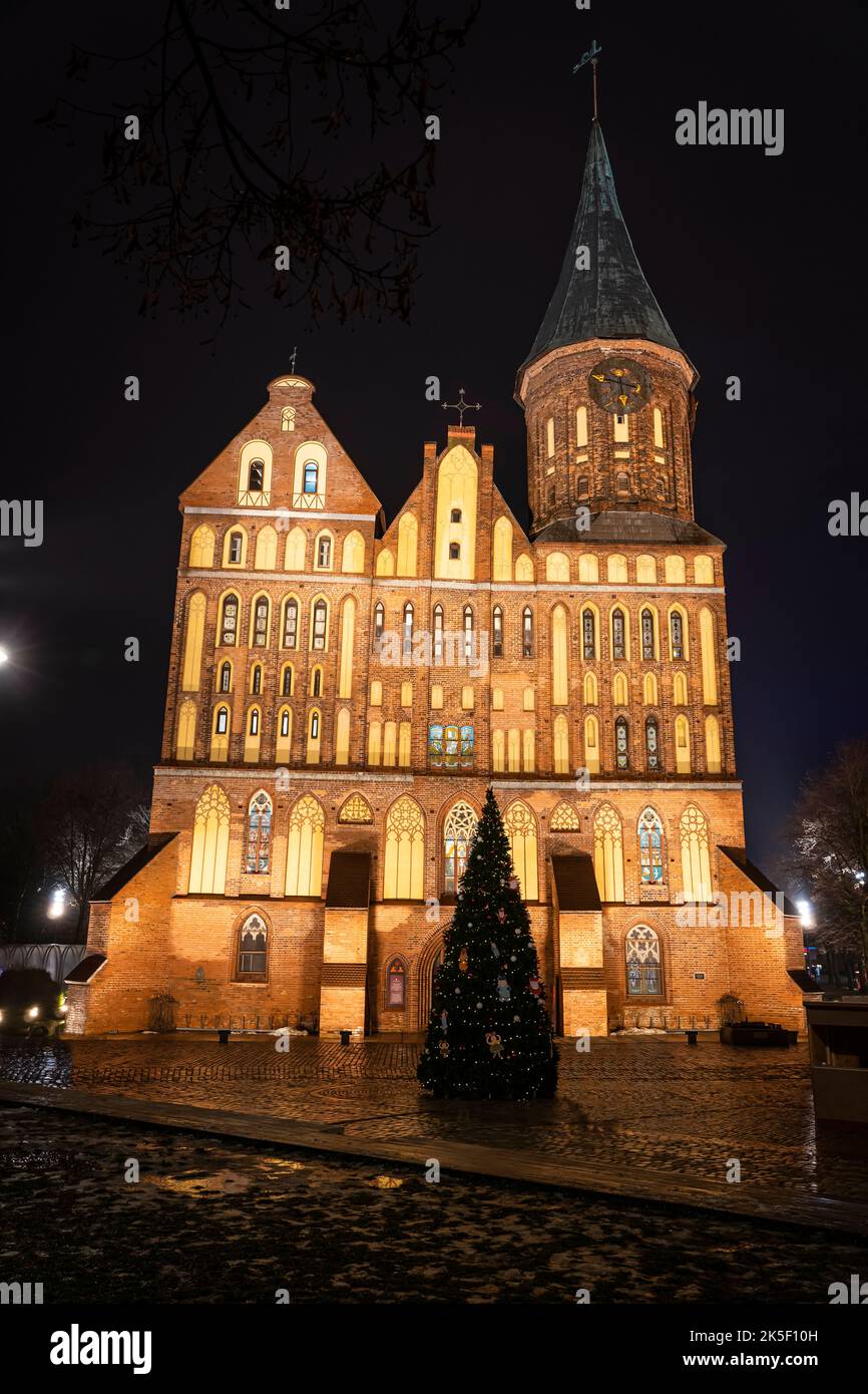 Kathedrale in der Kathedrale von Kininingrad kenigsberg . Das Hotel liegt im historischen Viertel der Stadt Kaliningrad - Kneipof jetzt im Volksmund Kant bezeichnet Stockfoto