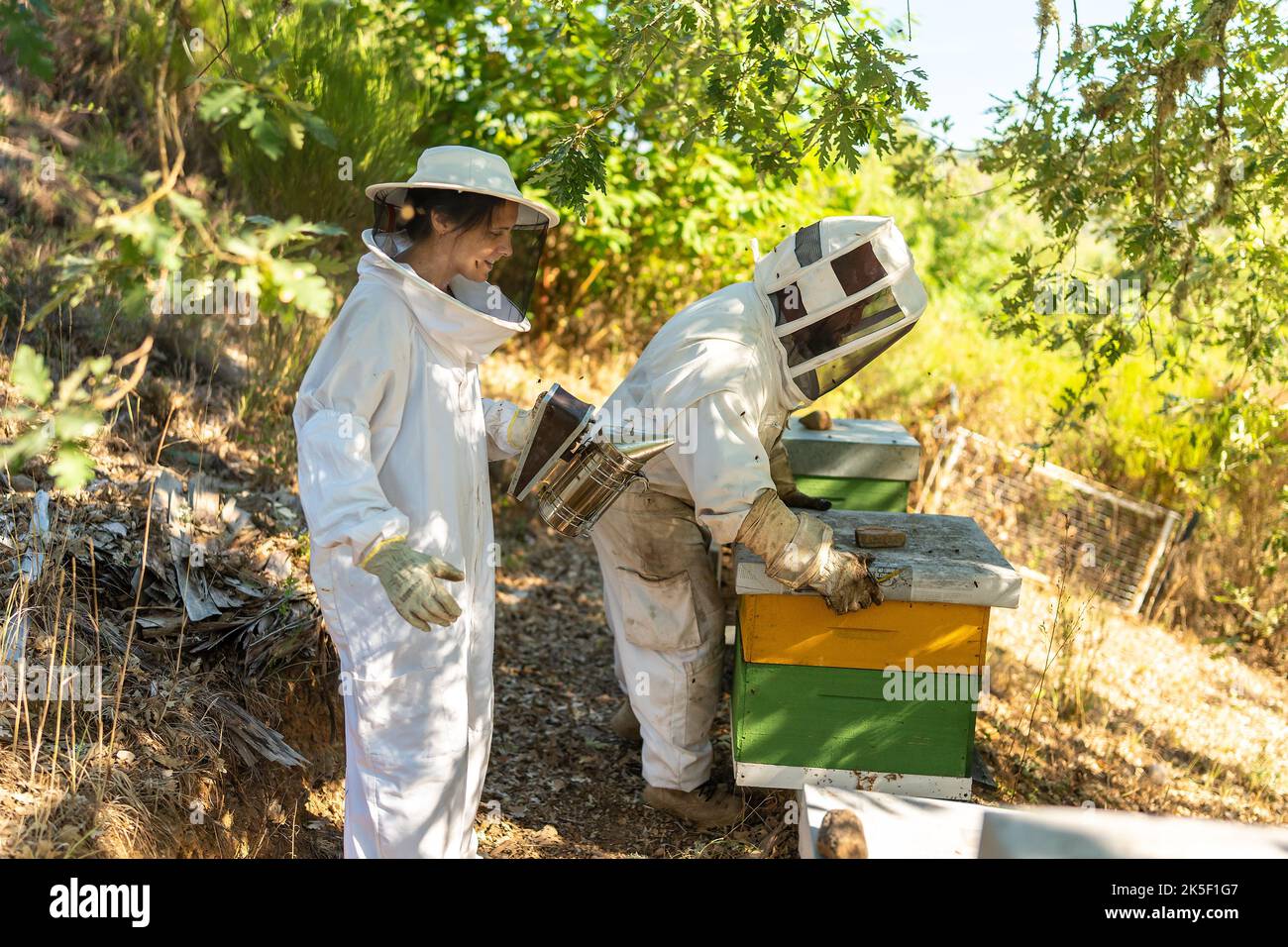 Imker, der mit Hilfe eines Assistenten einen Bienenstock aufstellte Stockfoto