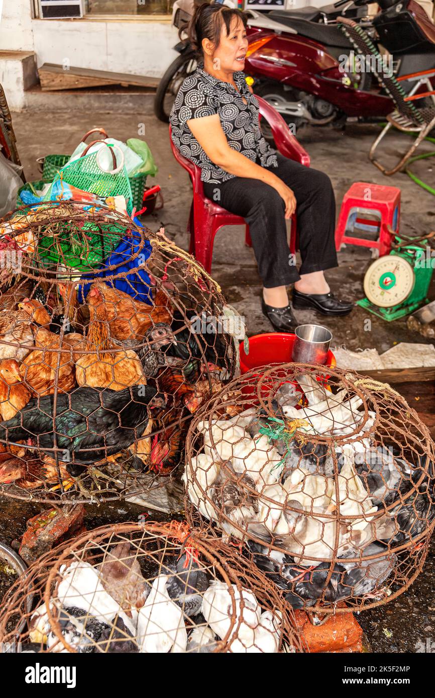Hühner und Enten zum Verkauf auf dem Straßenmarkt, Hai Phong, Vietnam Stockfoto
