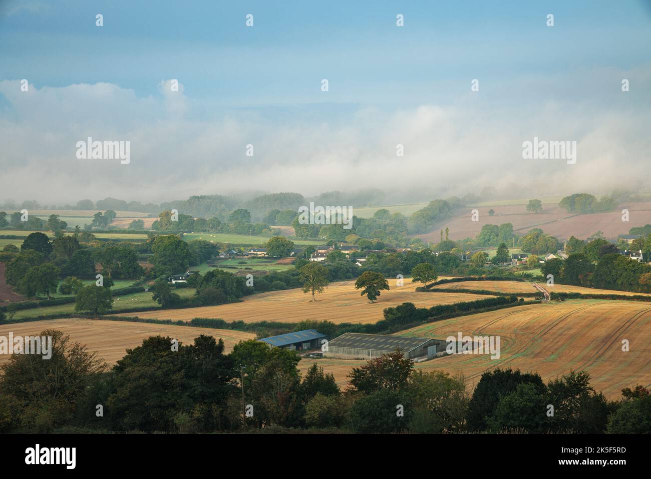 Rollfelder in Trellech, Südwales. Stockfoto