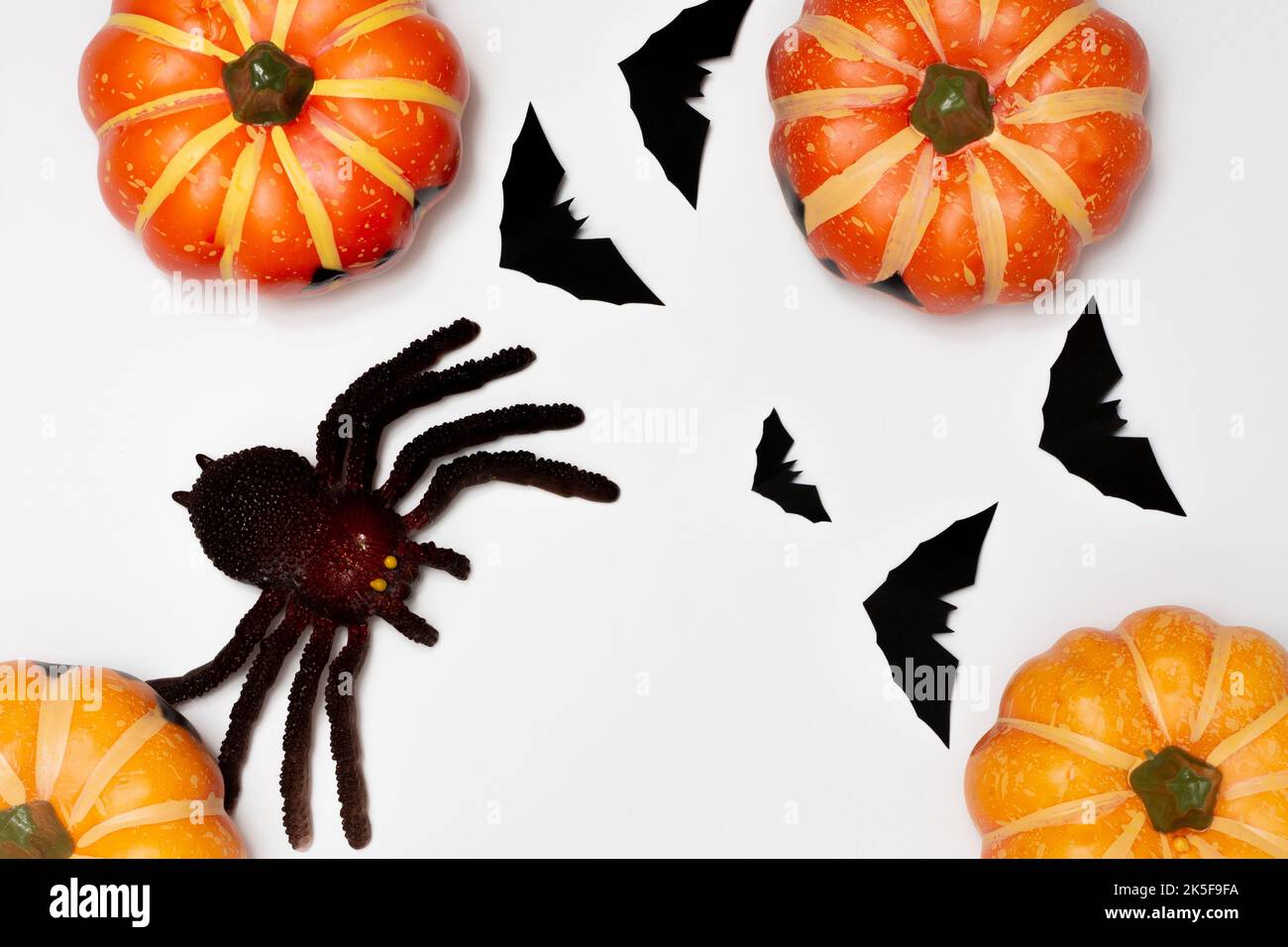 Halloween Dekorationskonzept, gruselige Kürbis und Spinne mit Silhouette eines fliegenden schwarzen Fledermauses. Stockfoto