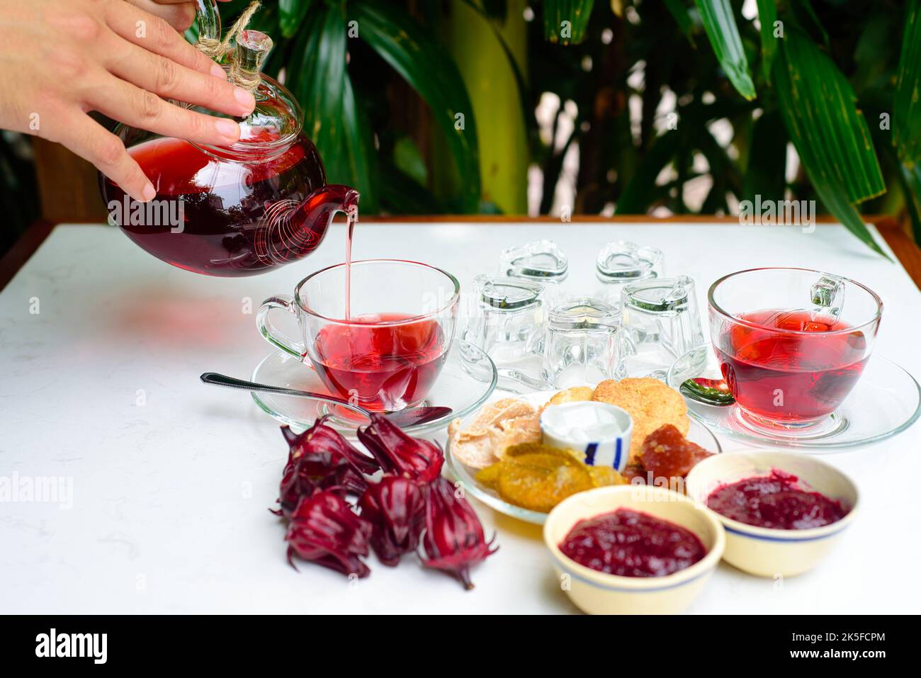 Hände halten Glas Teekannen mit Hibiskustee mit Tassen und kristallisierten Früchten und Marmelade auf einem Tisch Stockfoto