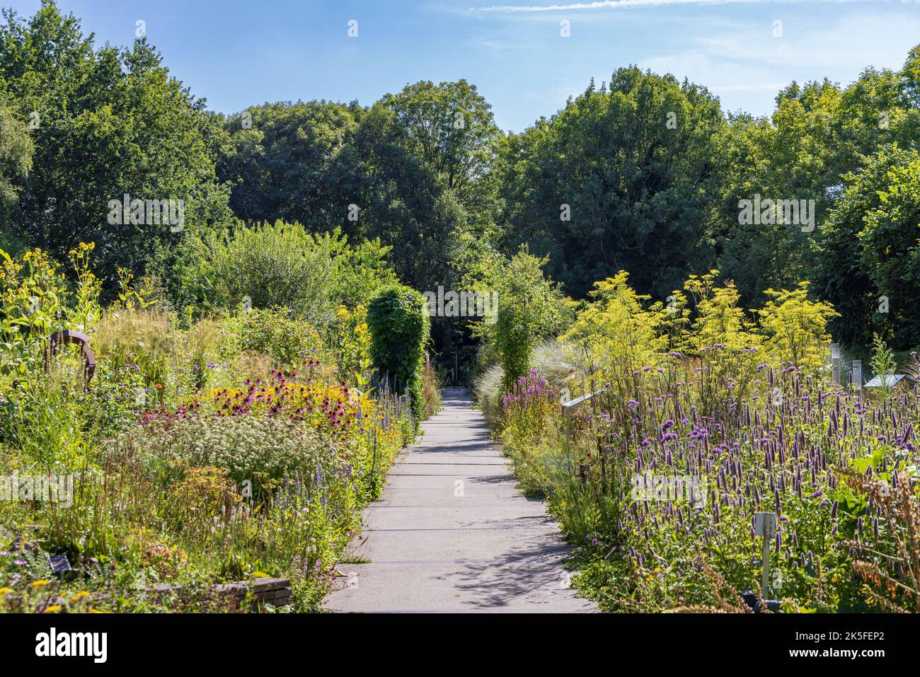 Garten und Pfad in Hortus botanicus von Alkmaar in Nordholland, Niederlande Stockfoto