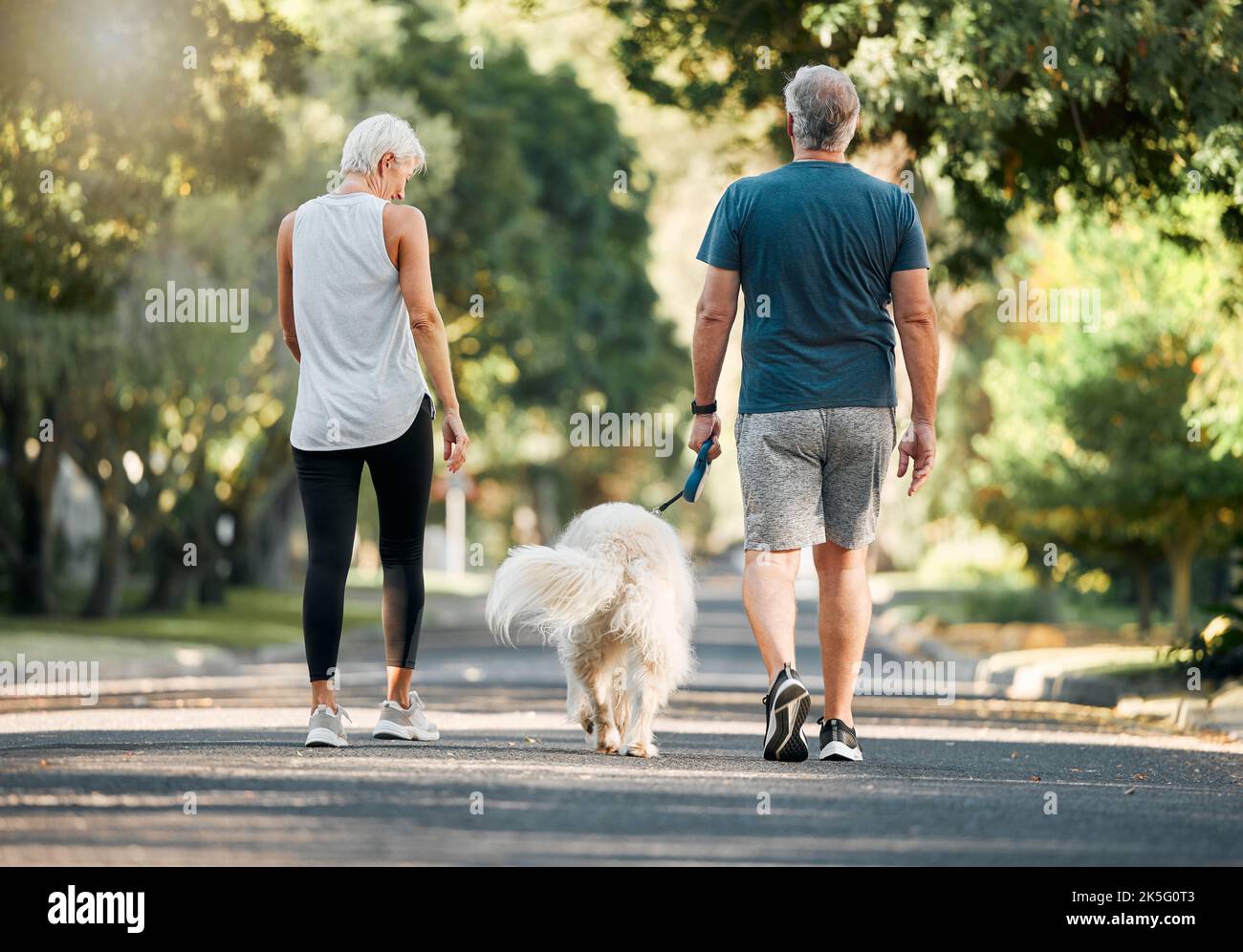 Seniorenpaar, Hundewanderung und Naturparkstraße während des Trainings, Spaziergangs und der Freizeit bei einem Spaziergang durch den Wald. Alter Mann und Frau sind aktiv Stockfoto