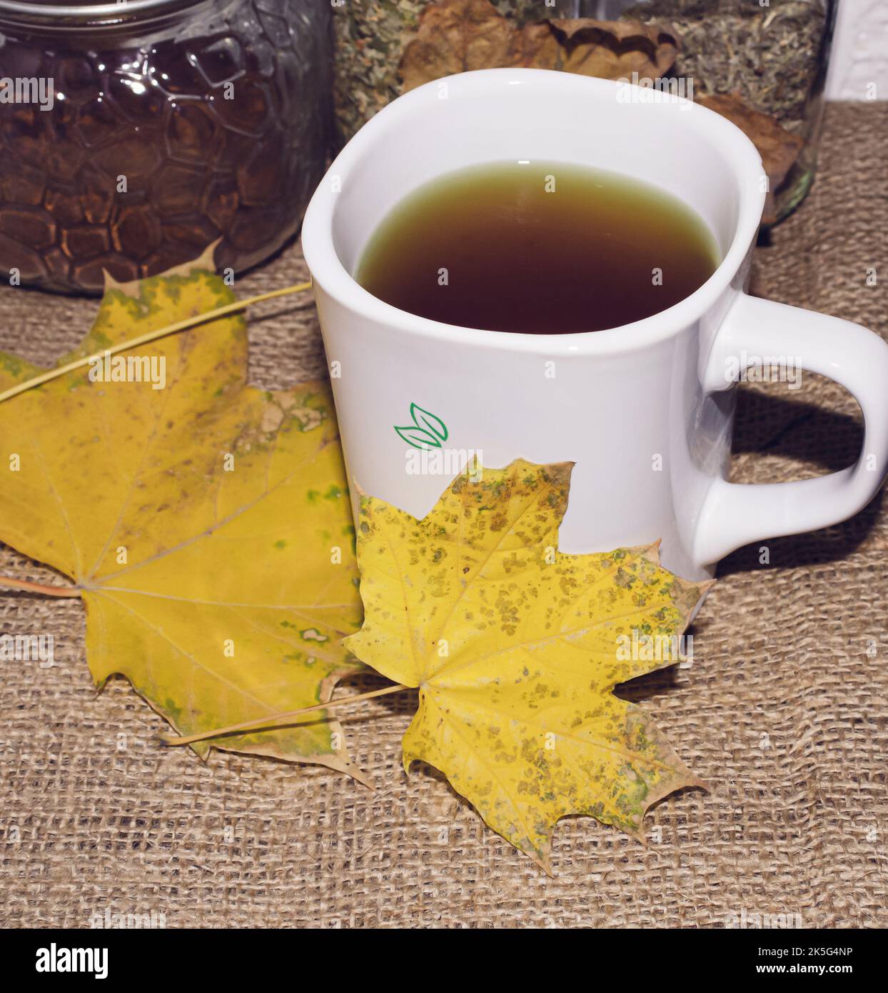 Weiße Teetasse mit gelben Blättern auf dem Tisch. Stockfoto