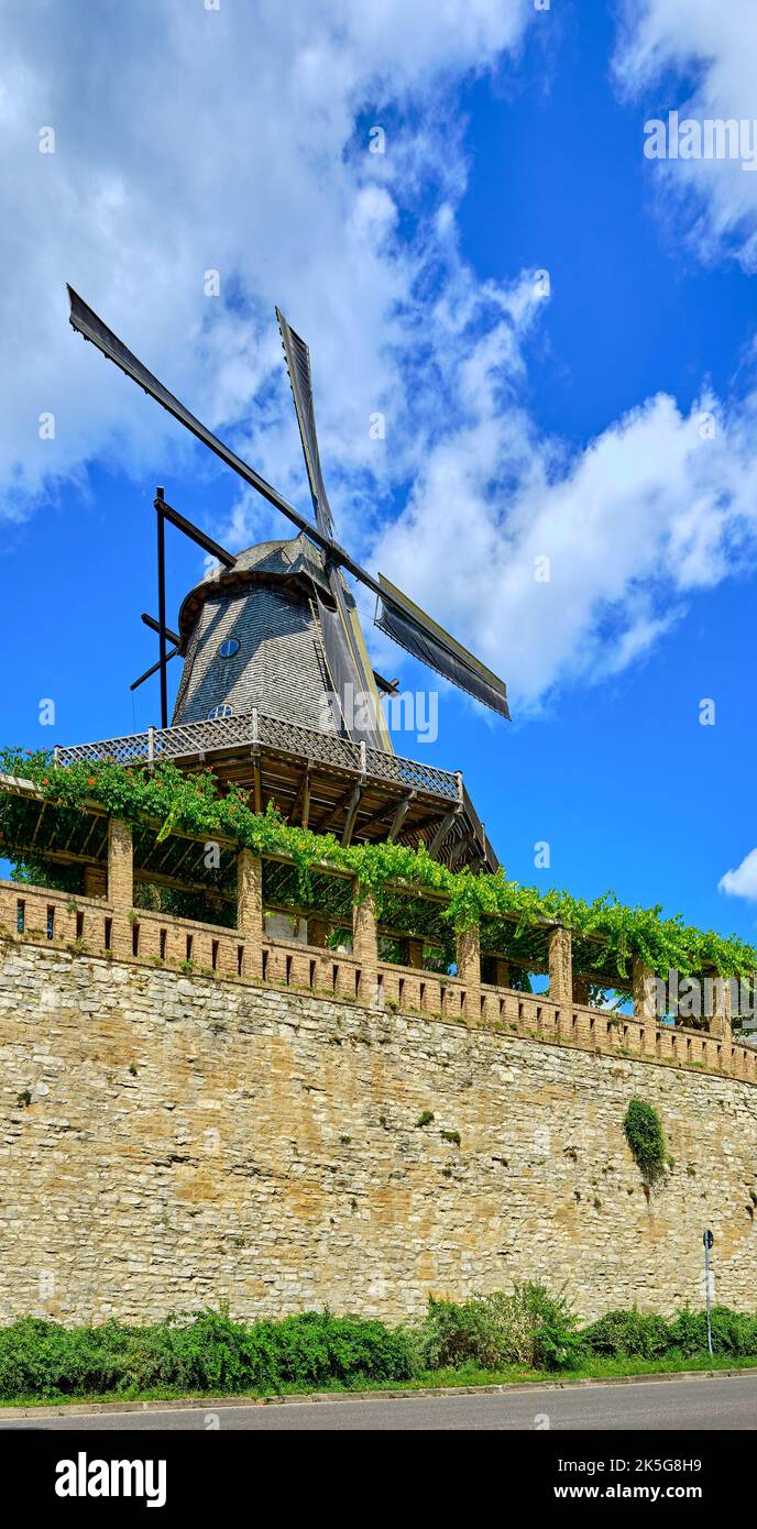 Historische Windmühle Sanssouci, Sanssouci Park, Potsdam, Brandenburg, Deutschland. Stockfoto