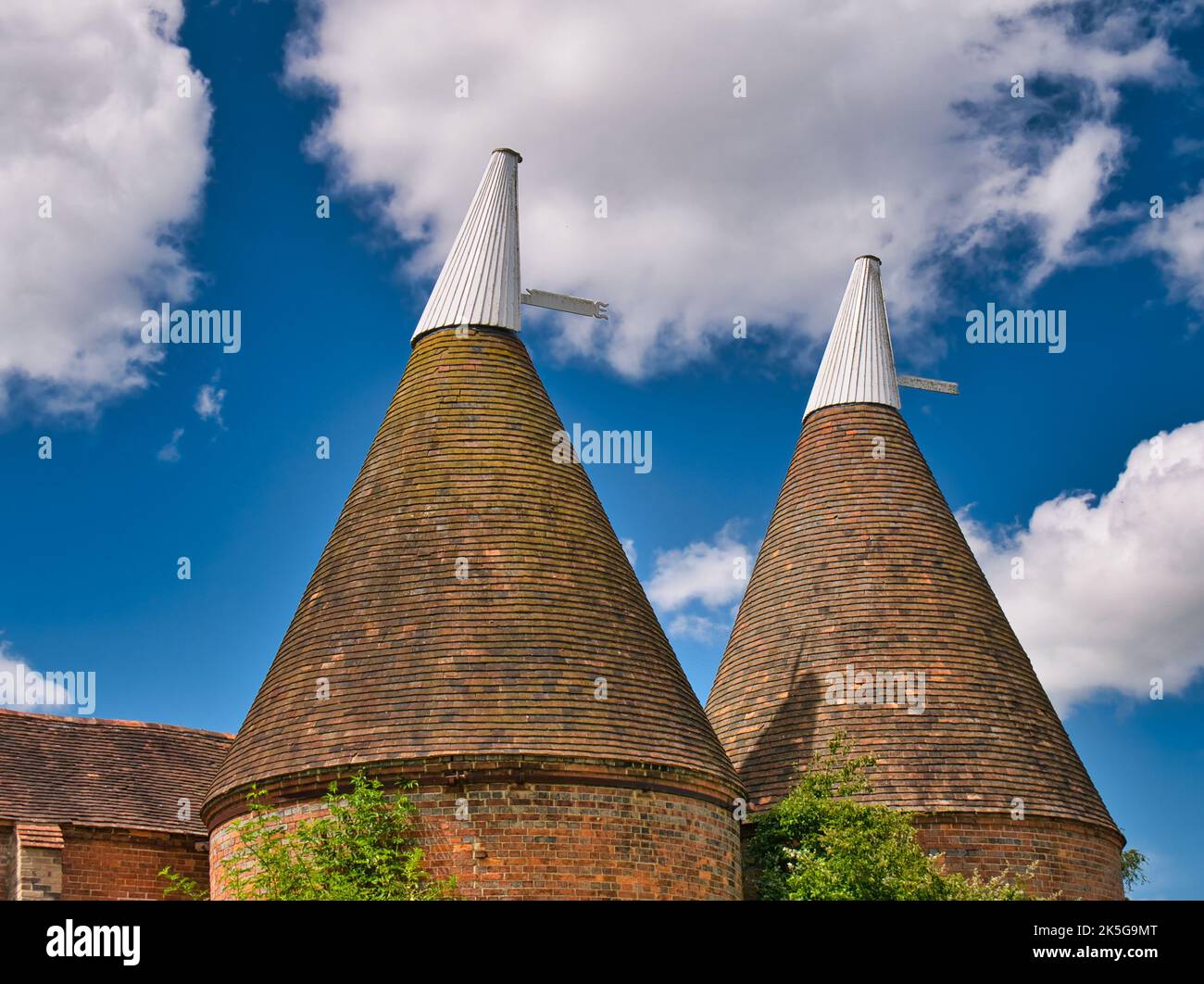 Traditionelle Backsteinhäuser mit weißen Kaminen in Kent, Großbritannien. Aufgenommen an einem sonnigen Tag mit blauem Himmel im Sommer. Stockfoto
