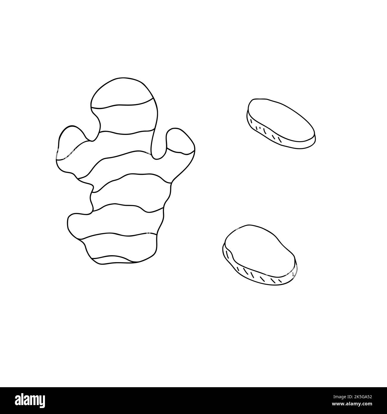 Ingwerwurzel, ganze, Scheiben und Pulver in Löffel einfache Kontur Vektor-Illustration, japanische traditionelle Gewürz kulinarische Zutat Stock Vektor
