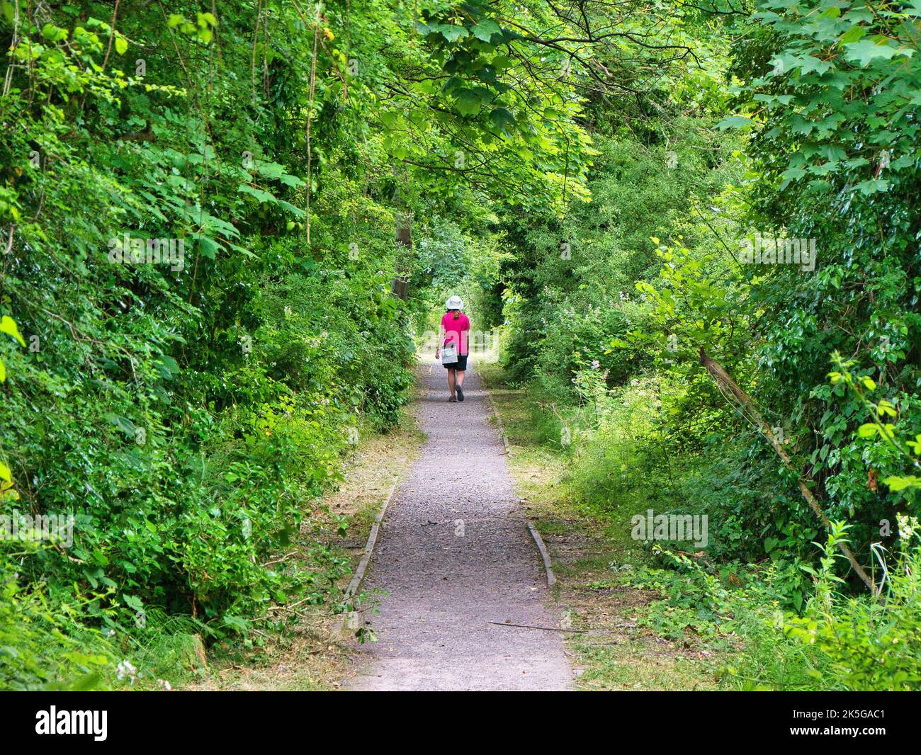 Eine alleinerziehende Frau mit einer Karte, die auf einem geraden Weg zwischen üppigem, grünem Laub läuft. Aufgenommen im Sommer. Stockfoto