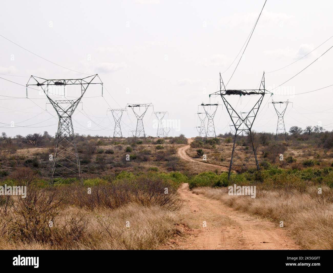 Elektrische Kabelmasten, die durch den afrikanischen Busch marschieren, mit einer kurvenreichen Buschstraße darunter. Stockfoto