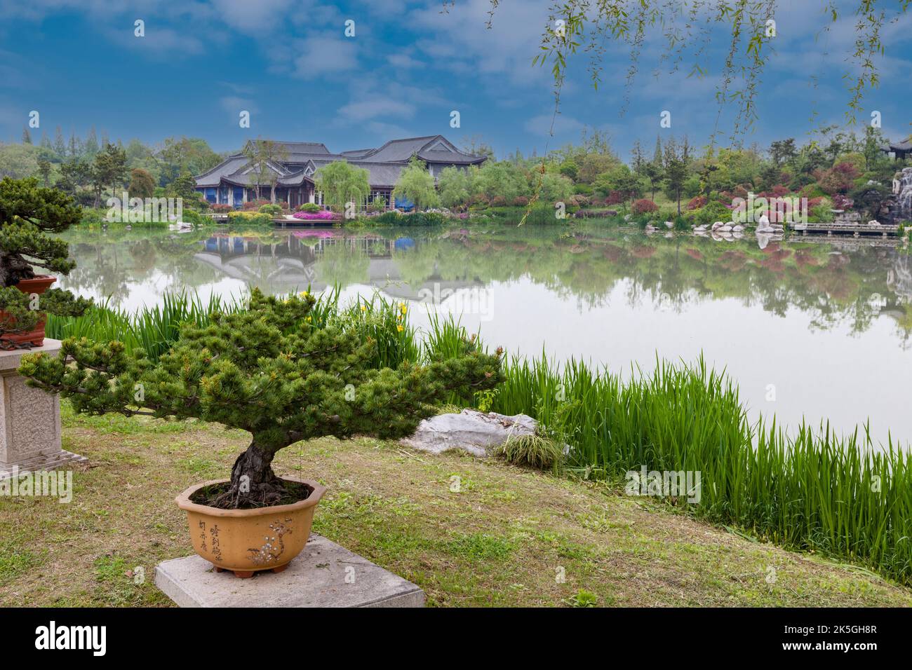 Yangzhou, Jiangsu, China. Bonsai, Bonsai Garten, schlanke West Lake Park. Stockfoto