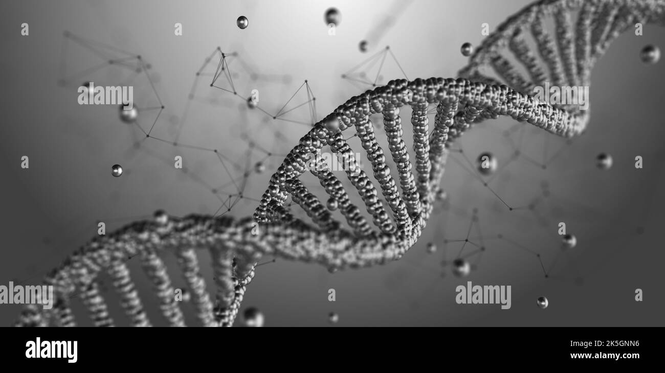 DNA-Moleküle (Desoxyribonukleinsäure), konzeptionelle Illustration. Stockfoto