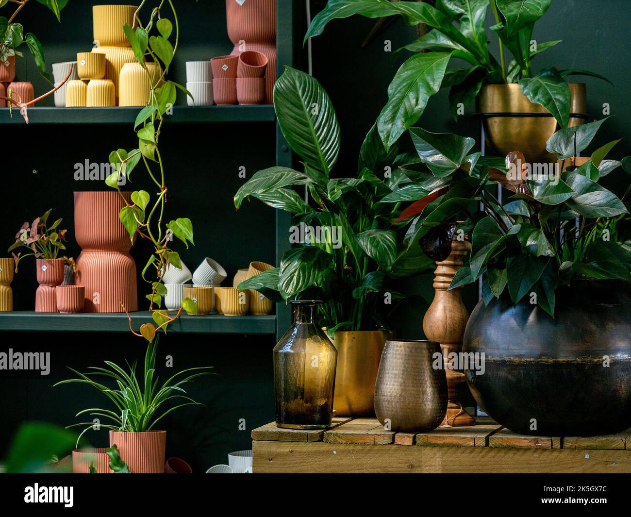 OLYMPUS DIGITALKAMERA Stockfoto