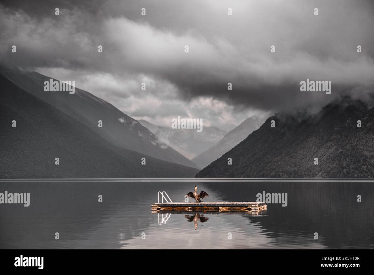 Großer Vogel, der seine Flügel flattern und auf einer hölzernen Plattform mit Metallleiter und dicken Seilen auf dem ruhigen und ruhigen See inmitten der grünen Berge steht Stockfoto