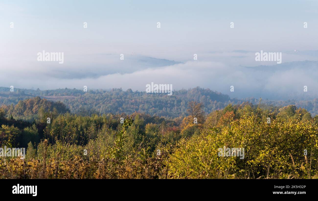 Morgennebel überschwemmen den Hügel im Herbst, Landschaftspanorama im Herbst Stockfoto