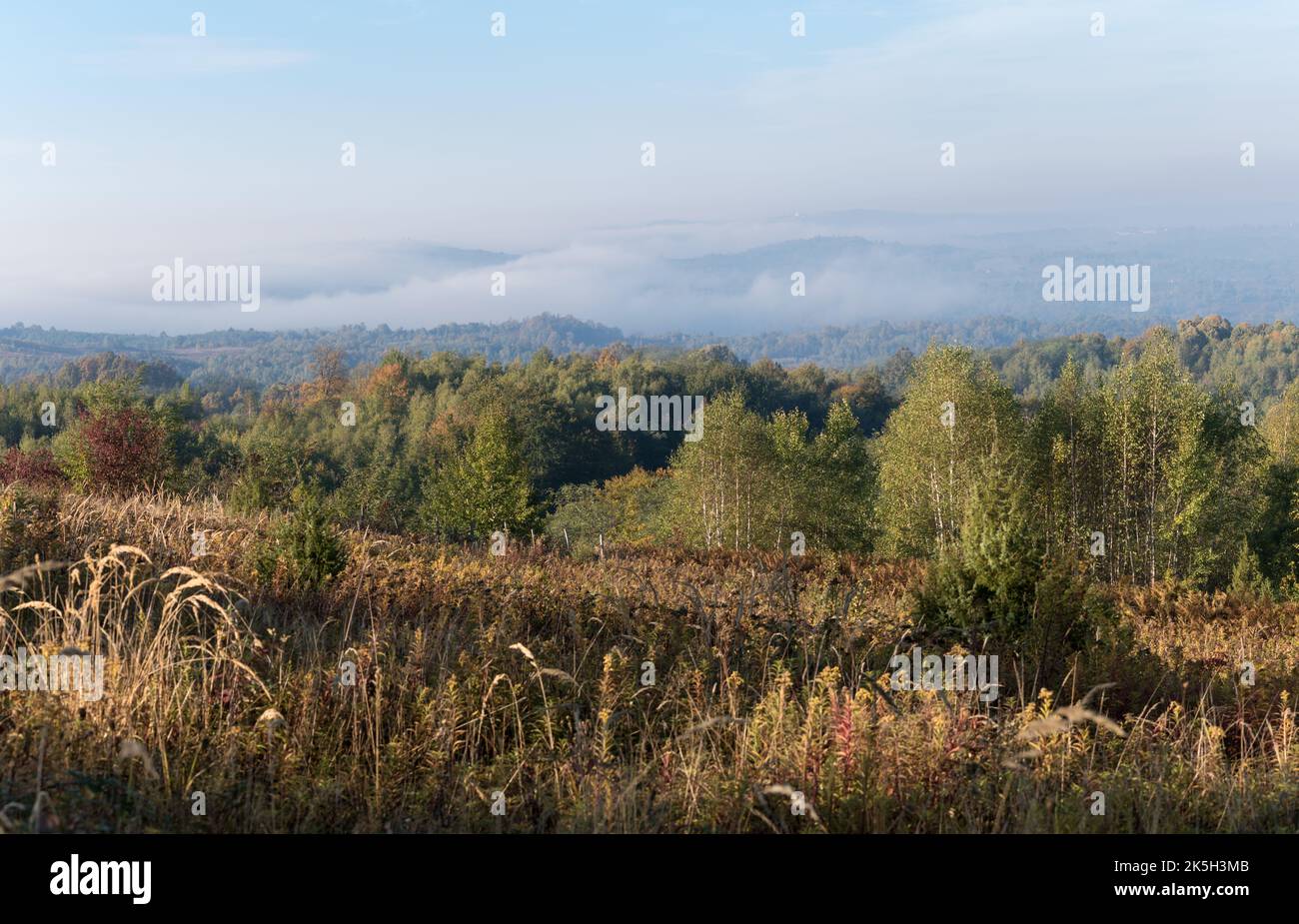Landschaftspanorama im Herbst, Nebelüberlauf über dem im Wald überwuchert Hügel Stockfoto