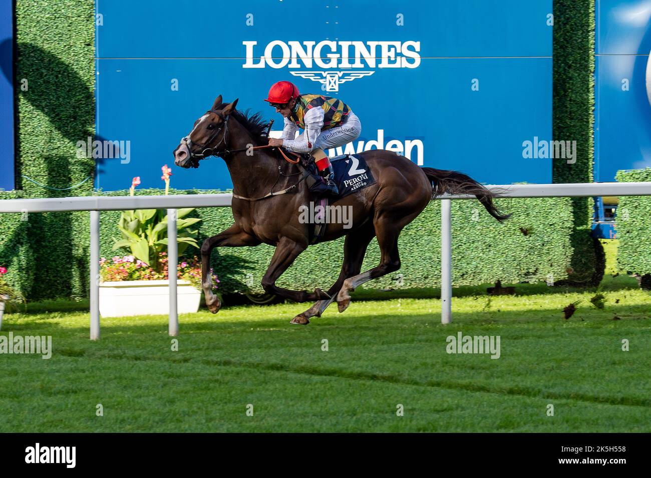 Ascot, Bergen, Großbritannien. 1.. Oktober 2022. Pferd Escobar unter Jockey Andrea Atzeni gewinnt den Peroni Nastro Azzurro Challenge Cup bei Ascot Races. Besitzer Withernsea Thoroughbred Ltd. Trainer David O’Meara, Upper Helmsley. Züchter Peter Evans. Sponsor Tiffin Sandwiches Ltd. Credit: Maureen McLean/Alamy Stockfoto