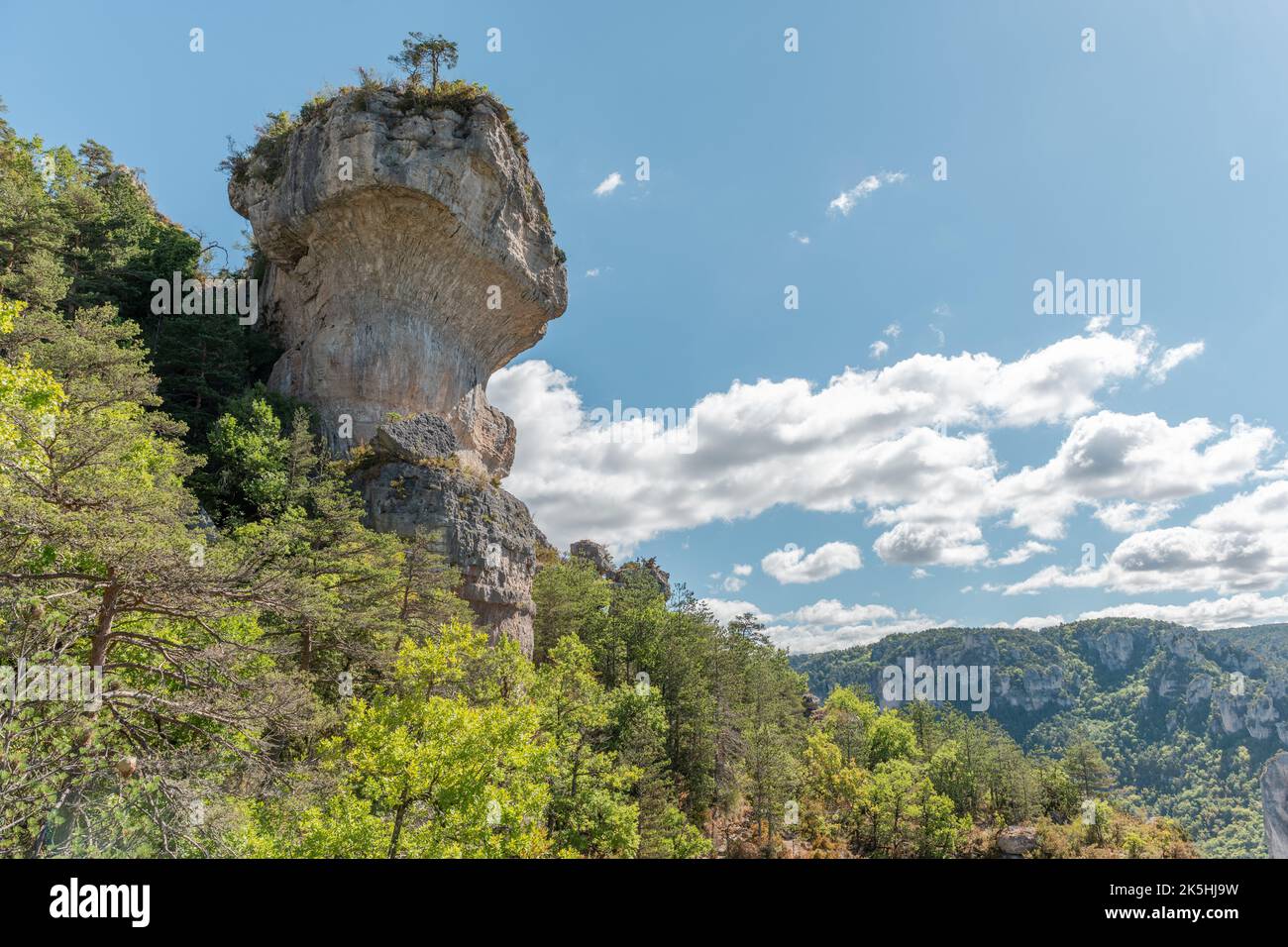Spektakulärer Felsen in den Gorges de la Jonte im Nationalpark Cevennes. Aveyron, Frankreich. Stockfoto