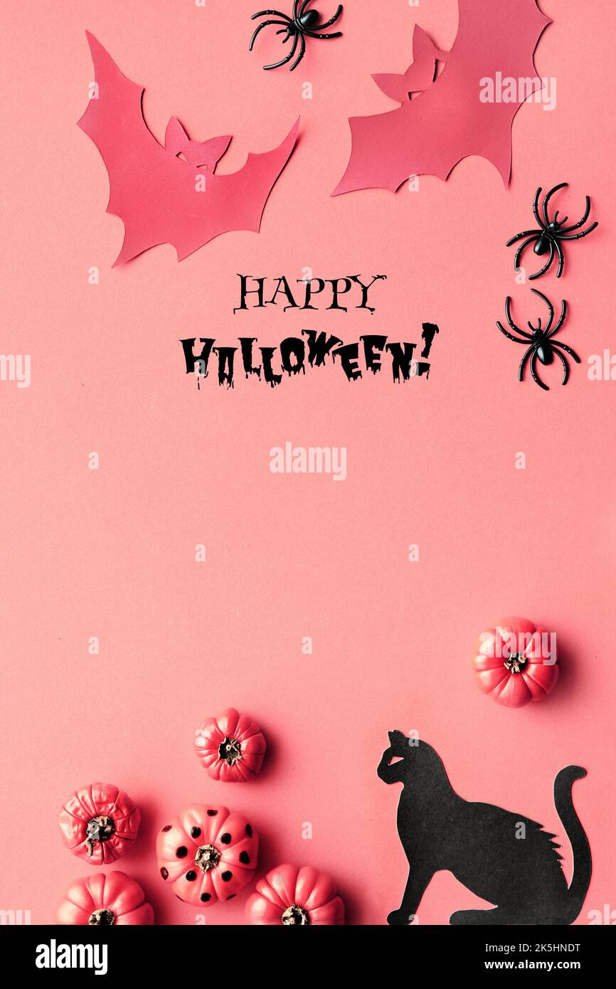 Vertikaler Hintergrund für rosa Halloween, Vorlage für Social-Media-Geschichten. Schwarze Katzen, Silhouette Fledermäuse und schwarze Spinnen. Rosa dekorative Deko-Kürbisse in wi Stockfoto